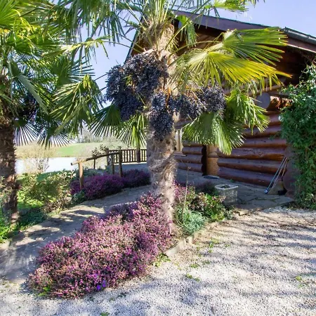 Confortable Au Bord D'un Etang A - Fr-1-616-72 * Dussac